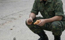 Bir asker, canı sıkıldığı için neredeyse her gün yavru yılanları besliyordu
