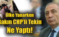 Ülke Yanarken Bakın CHP’li Tekin  Ne Yaptı!