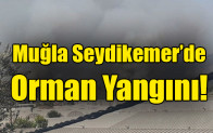 Muğla Seydikemer’de orman yangını