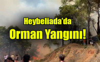 Heybeliada’da orman yangını