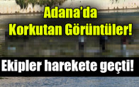 Adana’da  Korkutan Görüntüler!