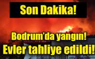 Bodrum’da  yangın! Evler tahliye edildi