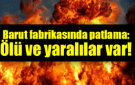 Barut fabrikasında patlama: Ölü ve yaralılar var