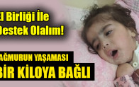 YAĞMURUN YAŞAMASI BİR KİLOYA BAĞLI