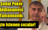 Sedat Peker iddianamesi tamamlandı… İşte istenen cezalar