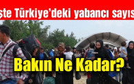 Türkiye’de kaç yabancı var, ne kadarı Suriyeli?
