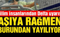 Bilim insanlarından Delta varyantı uyarısı