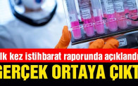 ABD istihbarat raporu corona virüsü ile ilgili gerçeği ortaya çıkardı