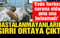 Corona virüsünde müthiş bulgu: