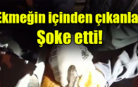 Ekmeğin içinden çıkanlar şoke etti