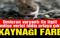 Omicron’un mutasyon hızı endişe yaratıyor