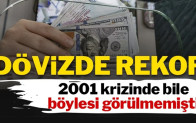 Mevduatta TL payı dibe vurdu