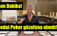 Sedat Peker gözaltına alındı!