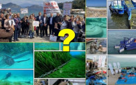 GÖCEK VE DALAMAN KOYLARI İHALELERİNDE AMAÇ SATMAK MI, KORUMAK MI?