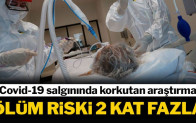 Corona virüsünde endişe yaratan araştırma: Grip olanın…