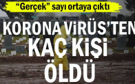 Korona virüs nedeniyle hayatını kaybedenlerin ‘gerçek’ sayısının 18 milyonu aştığı belirtildi
