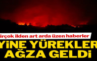 Daha yaz gelmeden art arda üzen haberler!