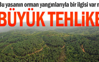 Bu yasanın orman yangınlarıyla bir ilgisi var mı… Büyük tehlike