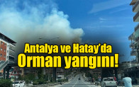 Antalya ve Hatay’da orman yangını
