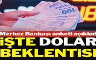 İşte piyasanın dolar, faiz ve enflasyon beklentisi
