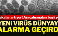 Maymun çiçeği virüsü dünyayı alarma geçirdi