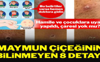 Maymun çiçeği virüsü hakkında bilmeniz gereken 8 şey: En çok kime bulaşıyor?