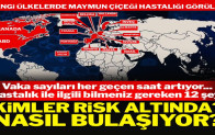 Maymun çiçeği (Monkeypox) salgını ile ilgili bilinmesi gereken 12 detay: Nasıl test ediliyor, kim risk altında?