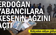 Erdoğan yabancılara kesenin ağzını açtı… Bütçeden milyar gidiyor