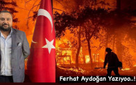 Ferhat Aydoğan ; Doğa ve Orman için Canından Olanlar Şehit Sayılmalı