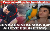 Pınar’ın ölüm nedeni belli oldu