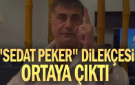 “Sedat Peker” dilekçesi ortaya çıktı