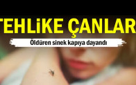 Tehlike çanları… Öldüren sinek kapıya dayandı