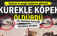 Türkiye’yi ayağa kaldıran görüntü: Kürekle köpek öldürdü