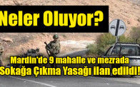 Mardin’de 9 mahalle ve mezrada sokağa çıkma yasağı ilan edildi
