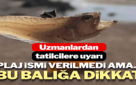 Korkutucu uyarı: Sahilde yürürken bunlara dikkat edin
