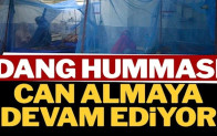 Dang humması can almaya devam ediyor