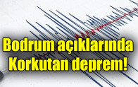 Bodrum açıklarında korkutan deprem