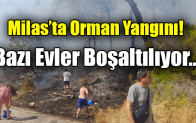 Milas’ta Orman Yangını!