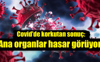 Covid’de korkutan sonuç: Ana organlar hasar görüyor
