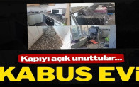 Kapıyı açık unuttular, döndüklerinde kabusu yaşadılar