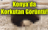 Konya’da Korkutan Görüntü!