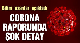 Corona virüsü raporunda dikkat çeken detay…