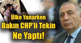 Ülke Yanarken Bakın CHP’li Tekin  Ne Yaptı!