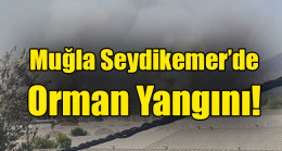 Muğla Seydikemer’de orman yangını