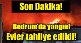Bodrum’da  yangın! Evler tahliye edildi