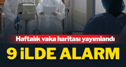 İşte vaka yoğunluğunun en çok arttığı 9 il