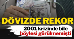 Mevduatta TL payı dibe vurdu