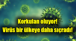 Korkulan oluyor! Virüs bir ülkeye daha sıçradı