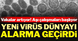 Maymun çiçeği virüsü dünyayı alarma geçirdi