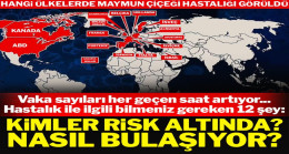 Maymun çiçeği (Monkeypox) salgını ile ilgili bilinmesi gereken 12 detay: Nasıl test ediliyor, kim risk altında?